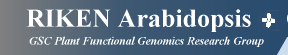 RIKEN Arabidopsis Genome Encyclopedia